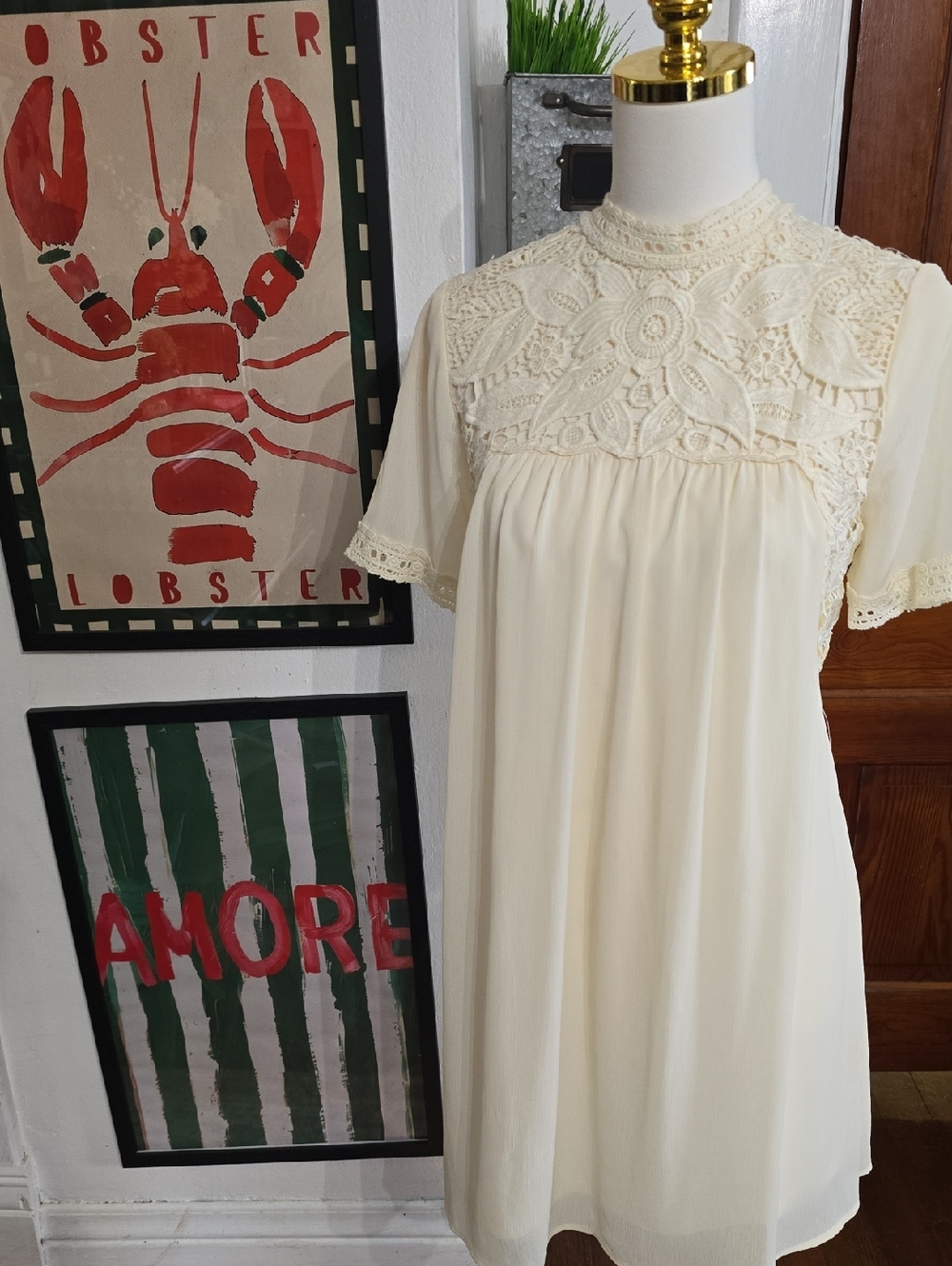 entro Cream Lace Yoke Short Sleeve‎ Dress Nwt